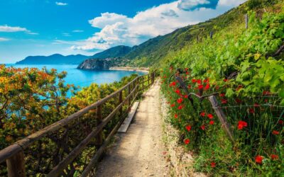 WALKING | Il Cammino di Liguria